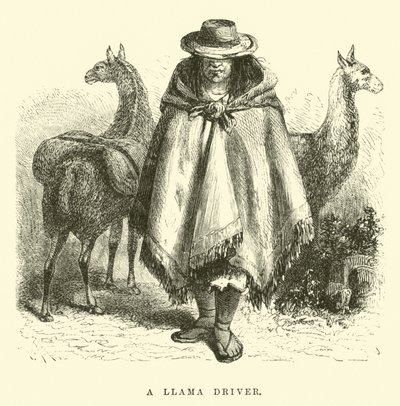 Un conducteur de lama - Edouard Riou